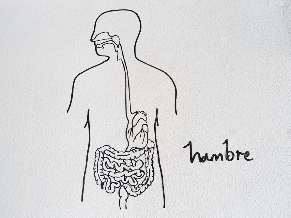 "hambre" vinyl letters on a wall 2012